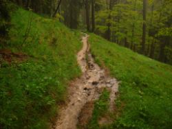 2013-06-01_Regina-F-Rau_Staffelalm_Hochwasser (132).JPG